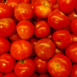 Tomate huntar