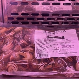 CARACOL COCIDO
