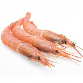 GAMBITA SALADA