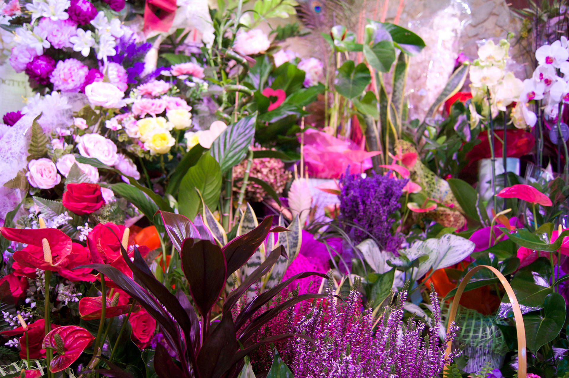 Imagen 3 de Floristeria Sant Ramon